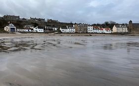 The Haven